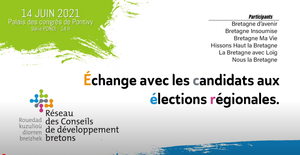 echangedescdbretonsavecdescandidatsauxr_reseau-cd-bretons.png